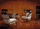 BUGGY SUPER