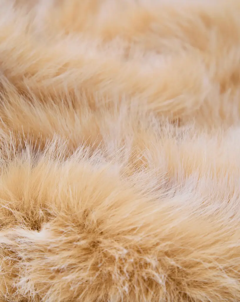 Capture d’écran 2025-11-18 à 11.48.57.webp