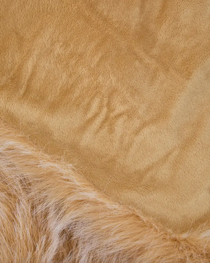 Capture d’écran 2025-11-18 à 11.48.32.webp