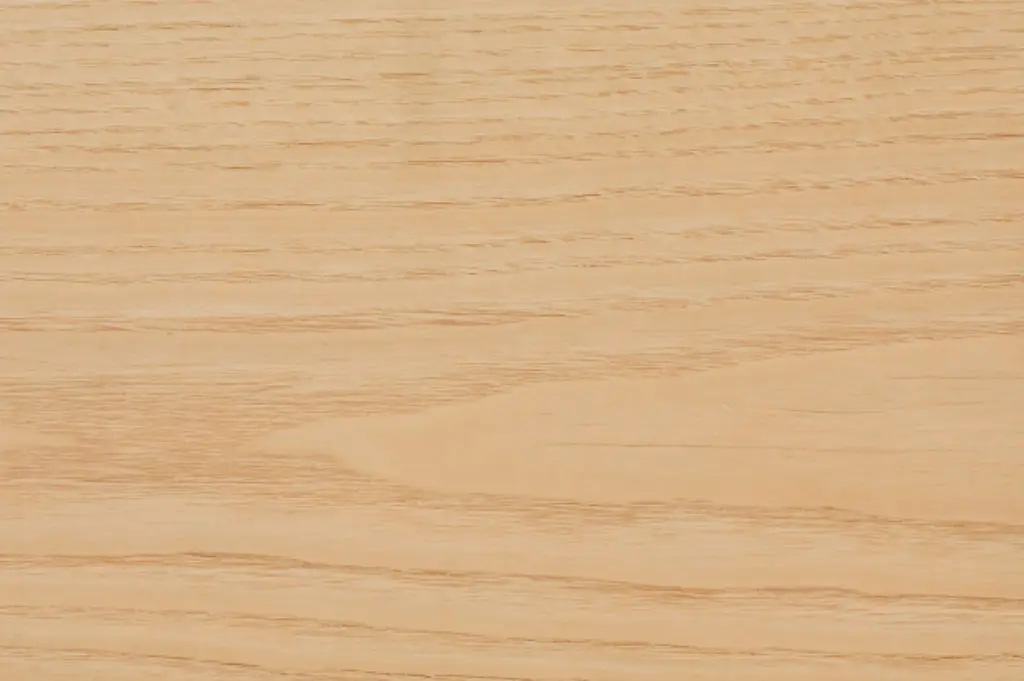 Capture d’écran 2026-03-02 à 12.53.37.webp