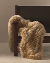 LISARA