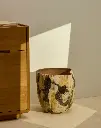 DIRVA