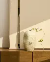 MEDIRA