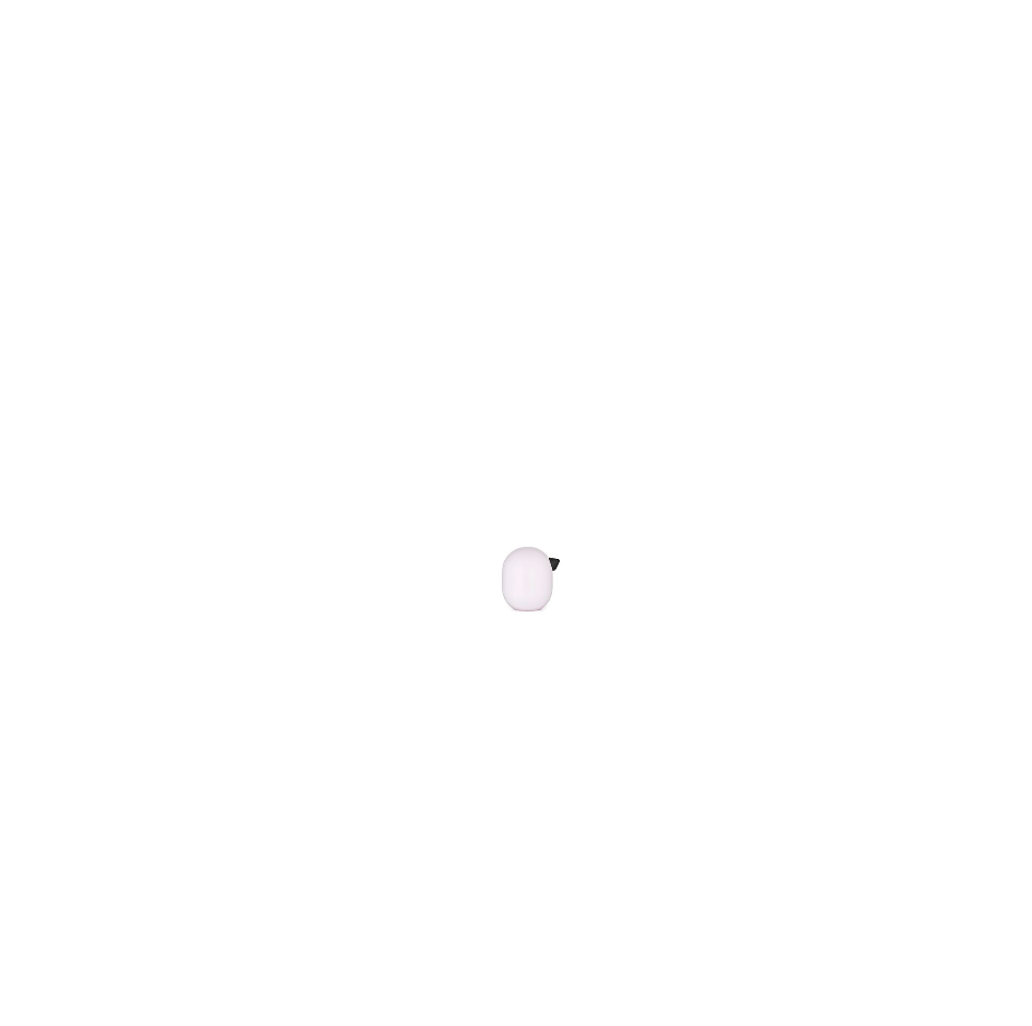 LITTLE BIRD 