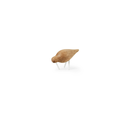 SHOREBIRD SMALL