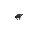 SHOREBIRD