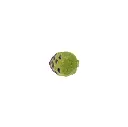 ARTICHOKE