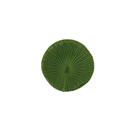 AMAZONIA