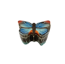 CLOUDY BUTTERFLIES