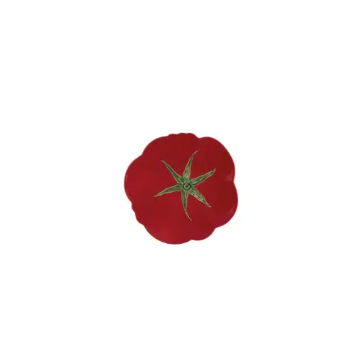[65022232] TOMATO : Assiette de dîner 29 cm