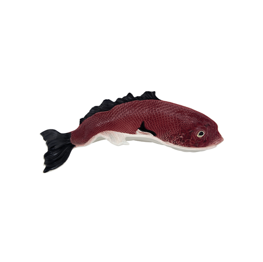[65001543] FISH   : Plat courbé