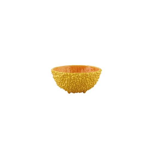 [65026348] AMAZONIA : Bowl jaune 16,5 cm 