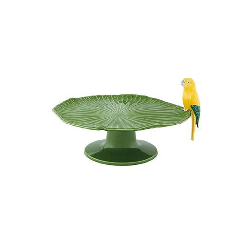 [65028090] AMAZONIA : Plateau