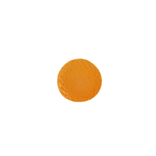[65027284] AMAZONIA : Assiette de fruits 23,5 cm 