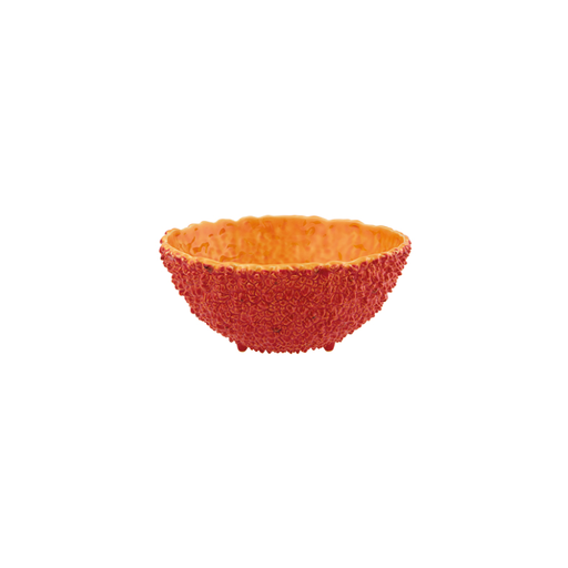 [65026305] AMAZONIA : Saladier 25cm